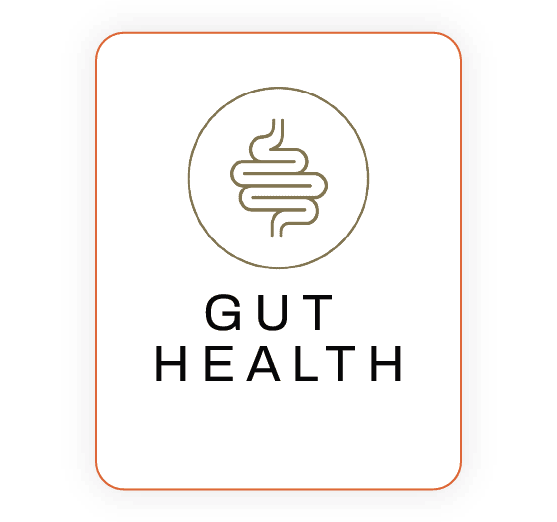 GUT HEALTH.png